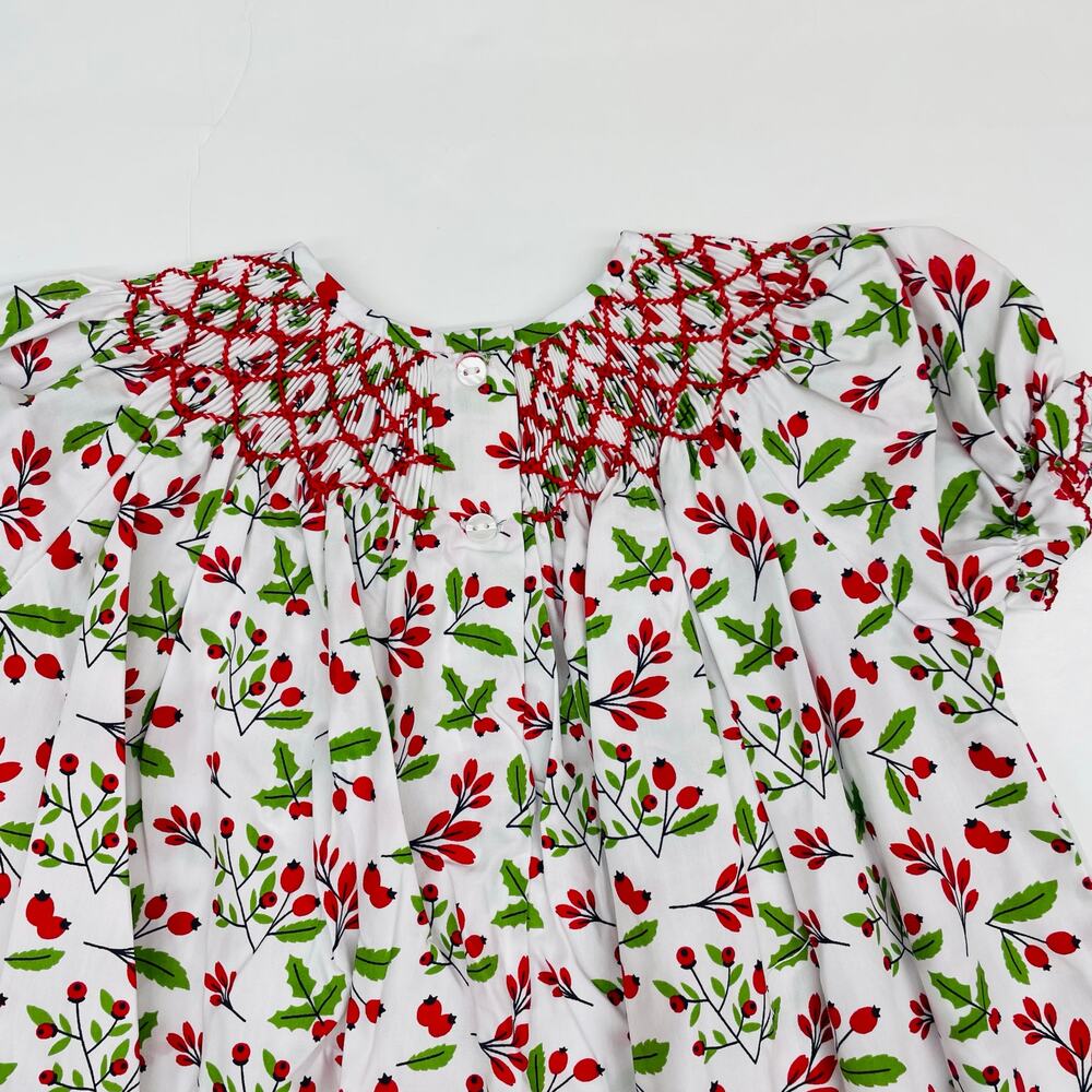 NWT Ruth & Ralph 2T Holl-Helen Dress - Picture 5 of 6